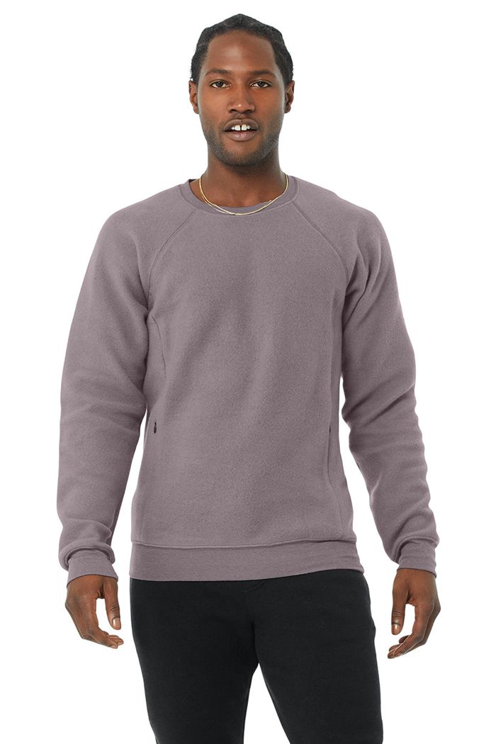 Long Sleeve Alo Yoga Triumph Crew Neck Sweatshirt Męskie Fioletowe | ZTNWY4269