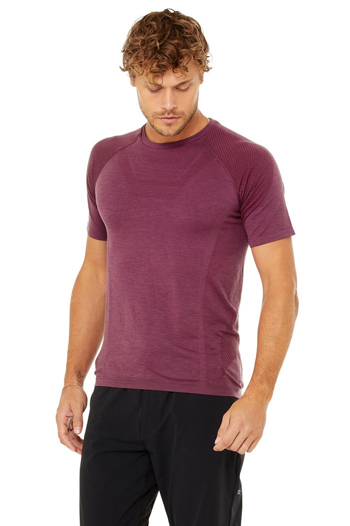 Short Sleeve Alo Yoga Amplify Seamless Tee Męskie Czerwone | PCEOG0417