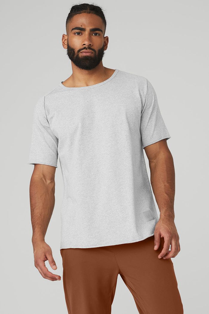 Short Sleeve Alo Yoga Society Crewneck Tee Męskie Szare | OTESG0782