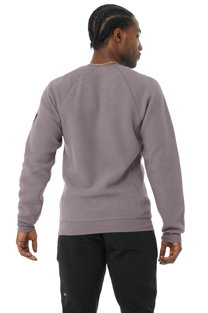 Long Sleeve Alo Yoga Triumph Crew Neck Sweatshirt Męskie Fioletowe | ZTNWY4269