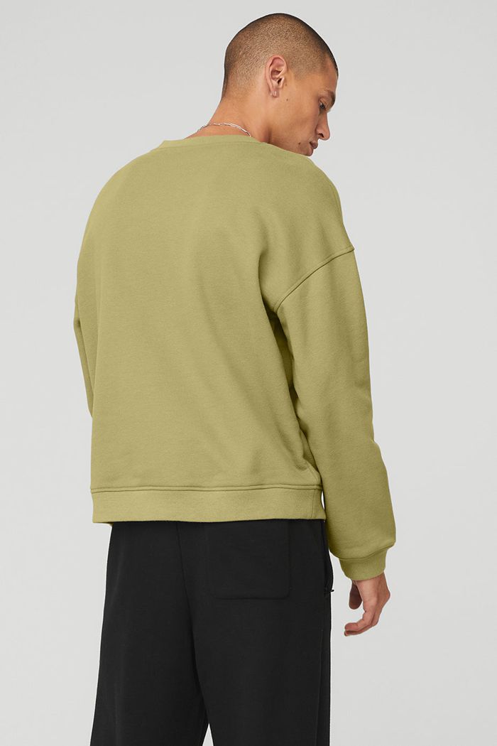 Pulowery Alo Yoga Renown Crew Neck Męskie Zielone | QORZS9106