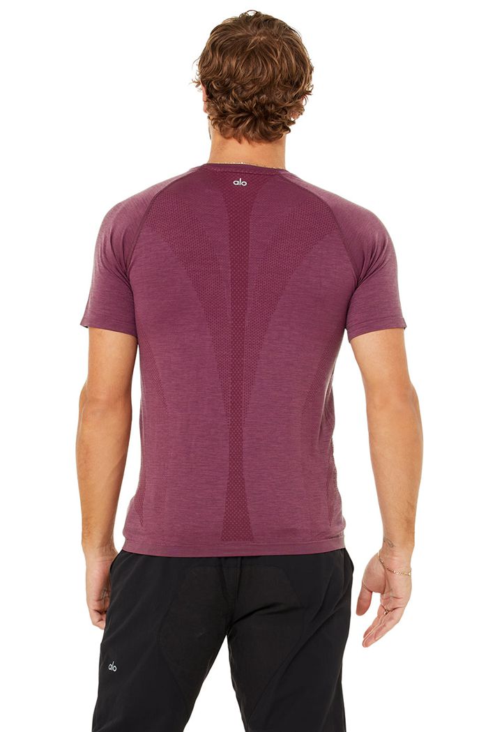 Short Sleeve Alo Yoga Amplify Seamless Tee Męskie Czerwone | PCEOG0417