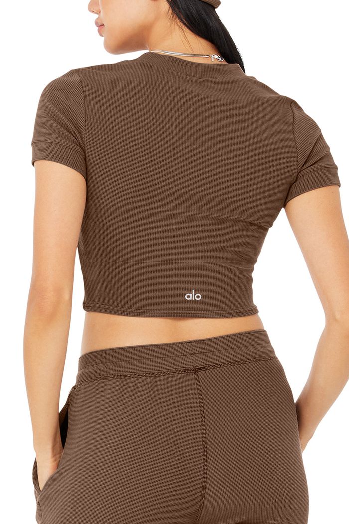 Short Sleeve Alo Yoga Micro Waffle Sierra Damskie Brązowe | QBIOM2390