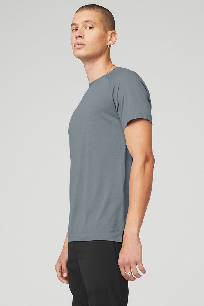 Short Sleeve Alo Yoga The Triumph Crew Neck Tee Męskie Szare | IWKOP7152