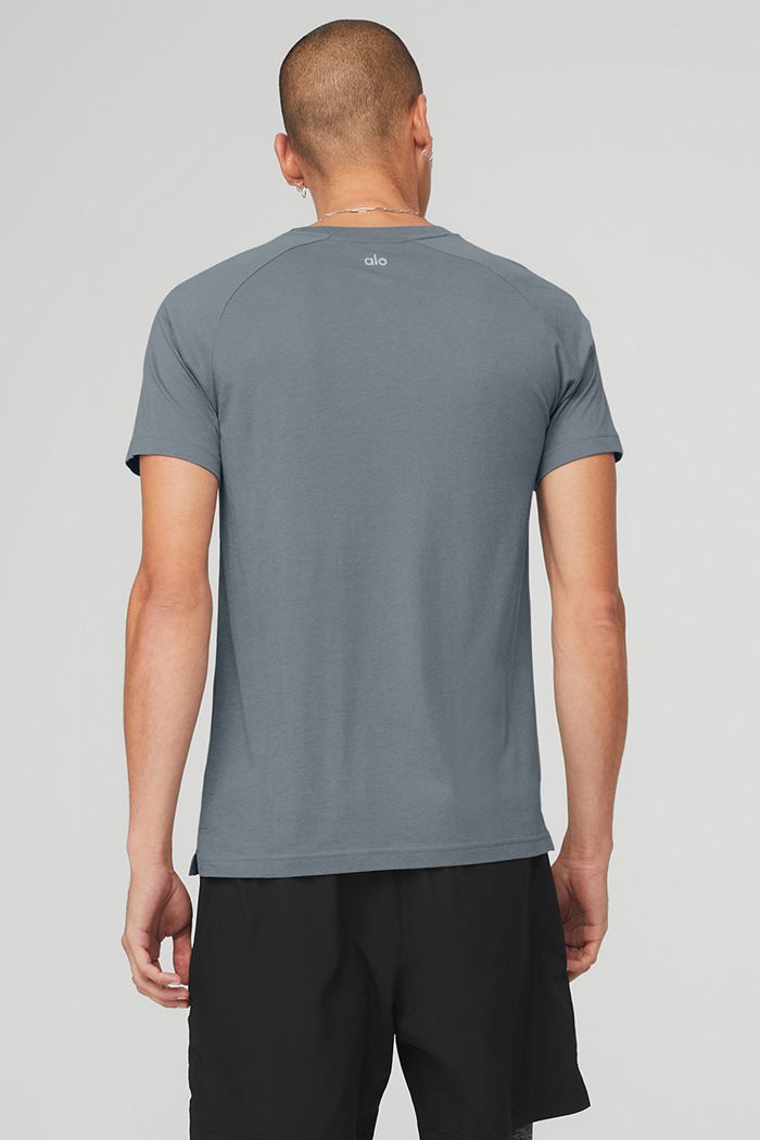 Short Sleeve Alo Yoga The Triumph Crew Neck Tee Męskie Szare | IWKOP7152