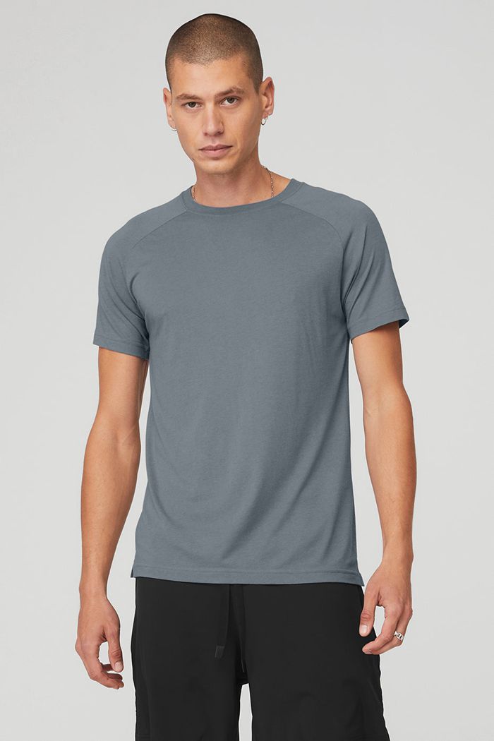 Short Sleeve Alo Yoga The Triumph Crew Neck Tee Męskie Szare | IWKOP7152