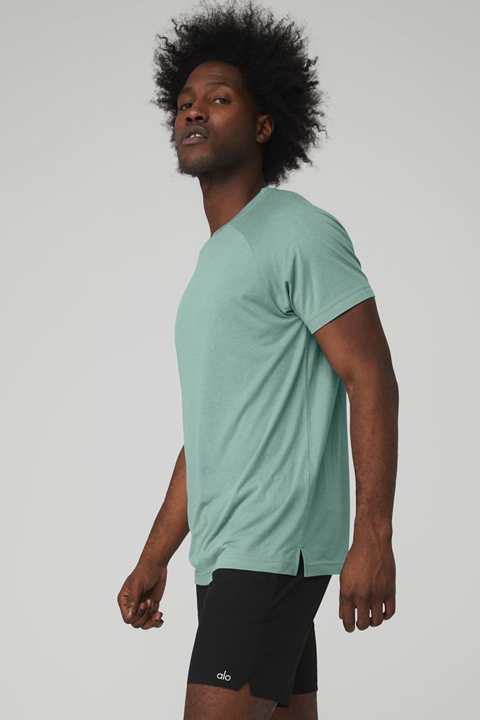 Short Sleeve Alo Yoga The Triumph Crew Neck Tee Męskie Niebieskie | YXSMD6142