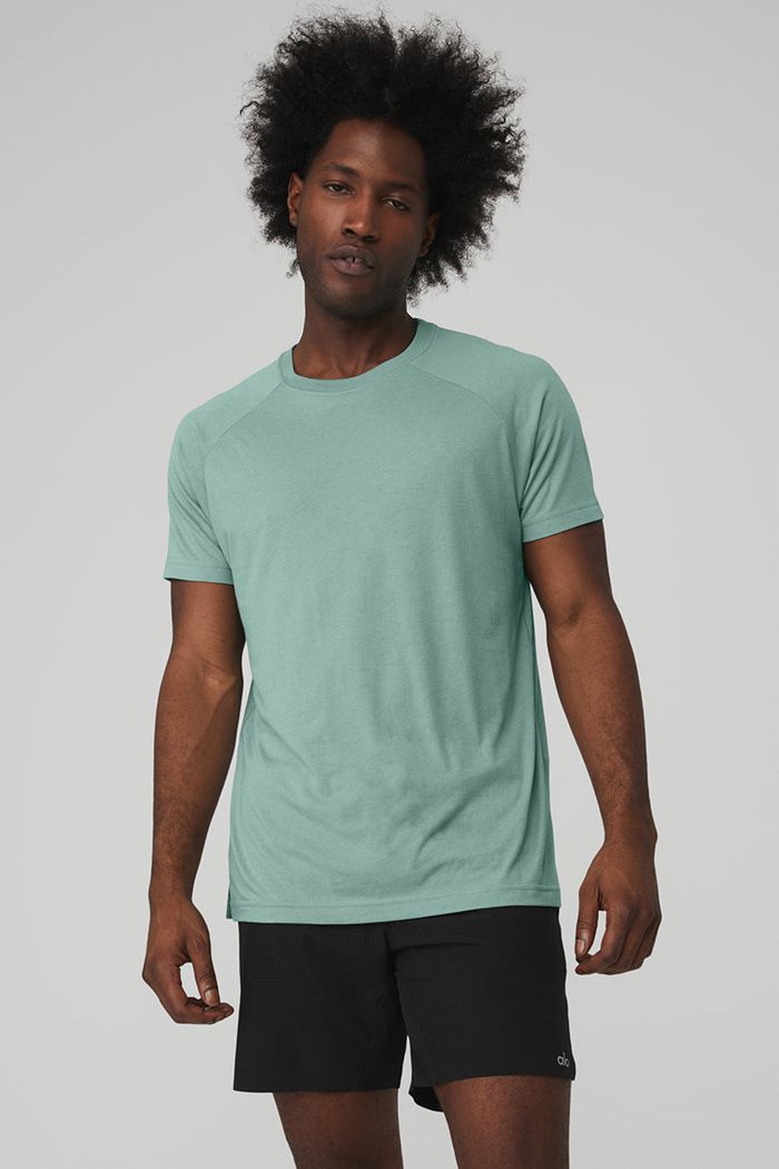 Short Sleeve Alo Yoga The Triumph Crew Neck Tee Męskie Niebieskie | YXSMD6142