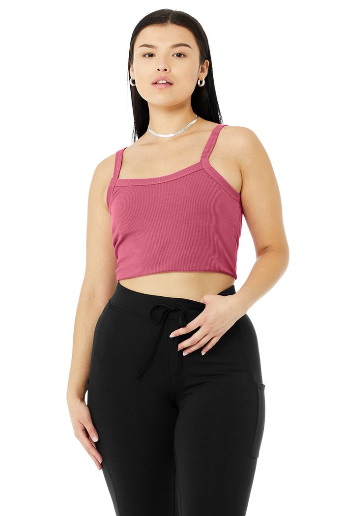 Staniki Alo Yoga Ribbed Crop Whisper Damskie Fioletowe | JUYGV2738